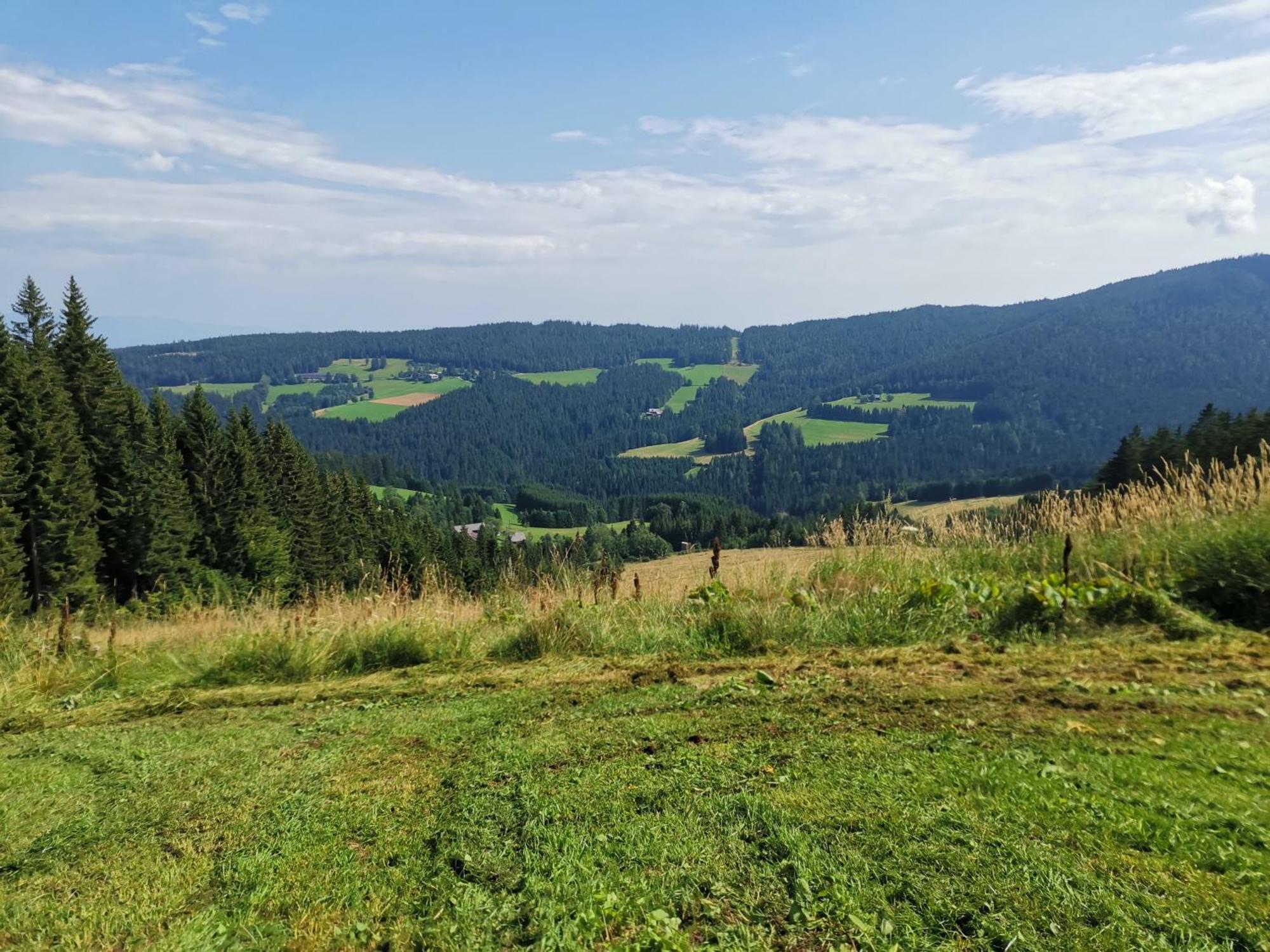 Gaestehaus Hebalm, Family & Friends Auf 900 M2 Wohnflaeche Erleben, Alleinnutzung Moeglich Pack Bagian luar foto